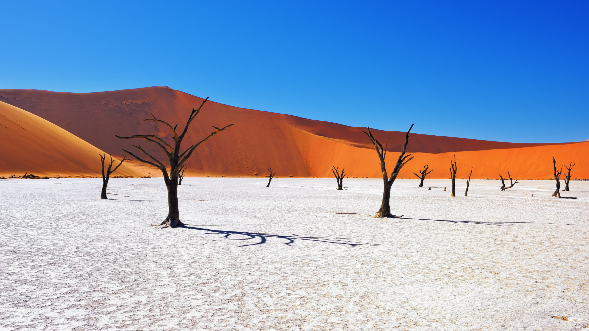 NAMIBIA - Vado al massimo nei Paradisi del Mondo